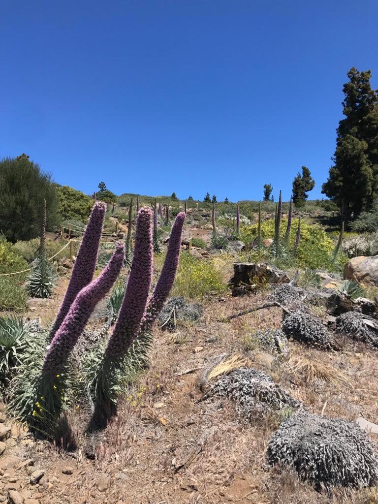 Finca Caboquitos Гарафия Экстерьер фото